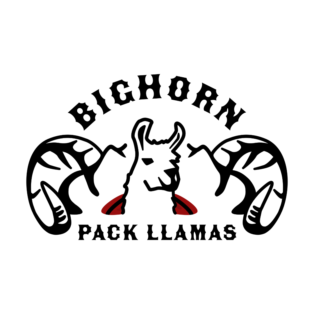 BigHorn Pack Llama Guided Fishing Trip for Two