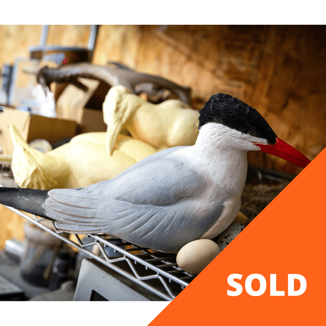 Decoy collectors take note, Dave Smith hand Crafted Caspian Tern